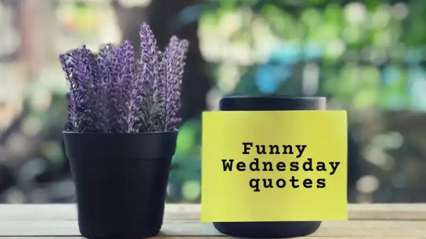 funny Wednesday quotes