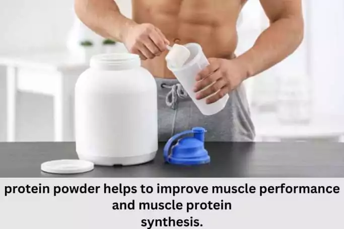 Best Protein Powder