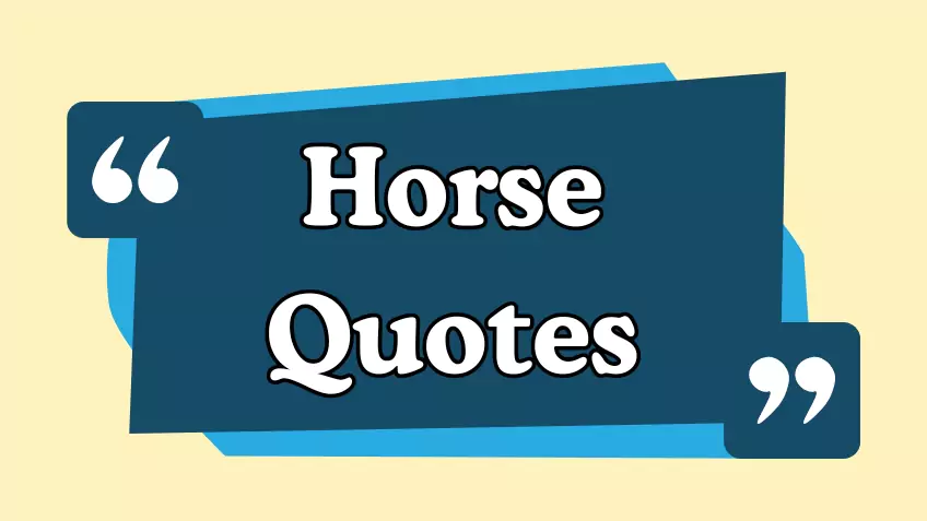 horse quotes