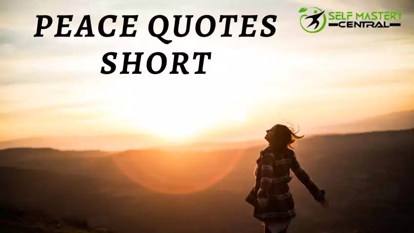 Peace quotes short