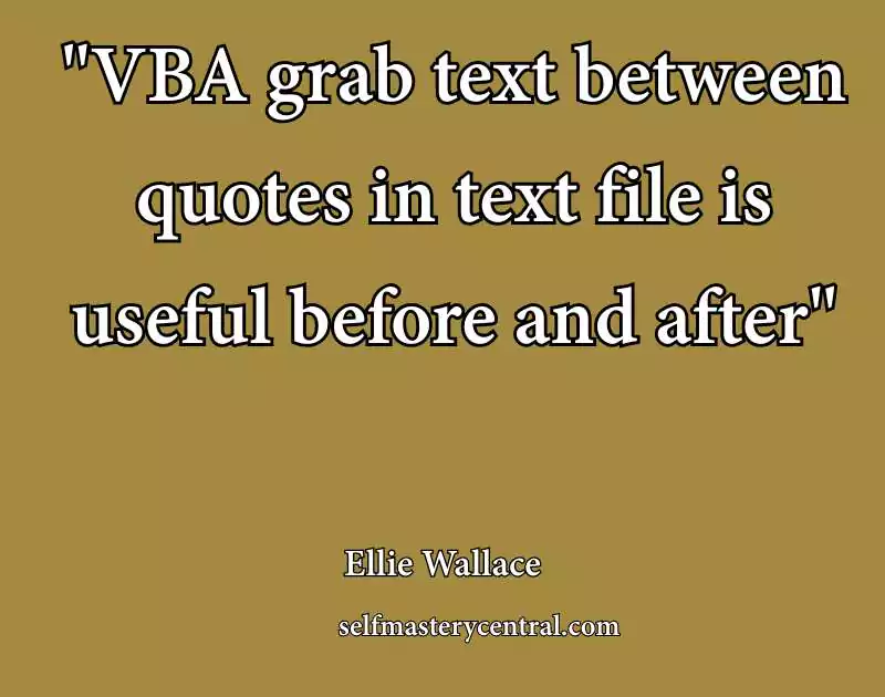 VBA grab text between quotes in text file