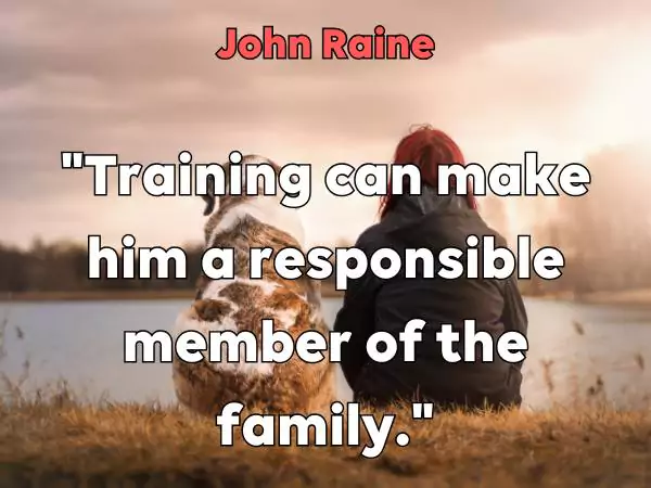dog training quotes
