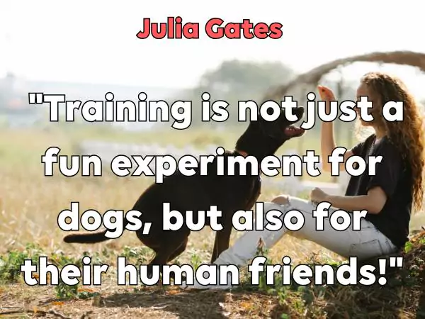 dog training quotes