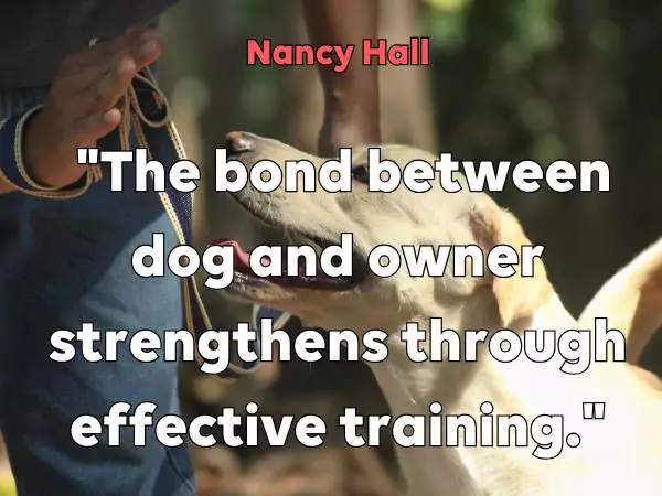 dog training quotes