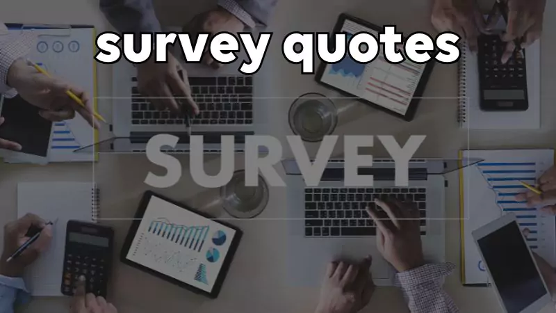 survey quotes