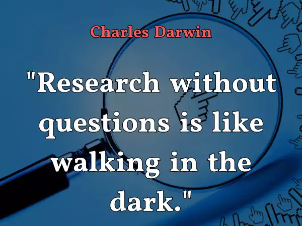 survey quotes