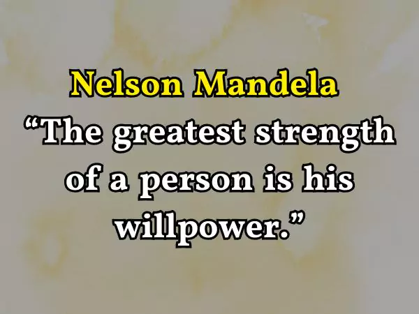 quote rater