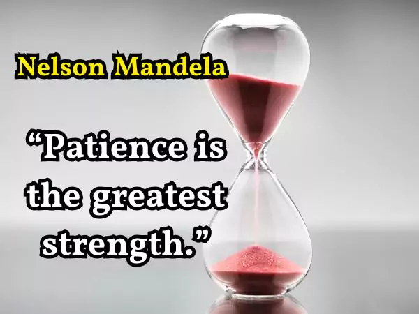 quote rater