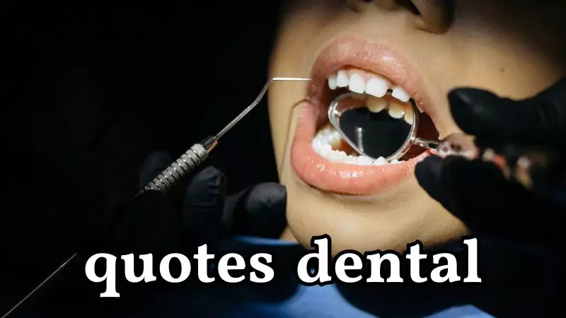 quotes dental